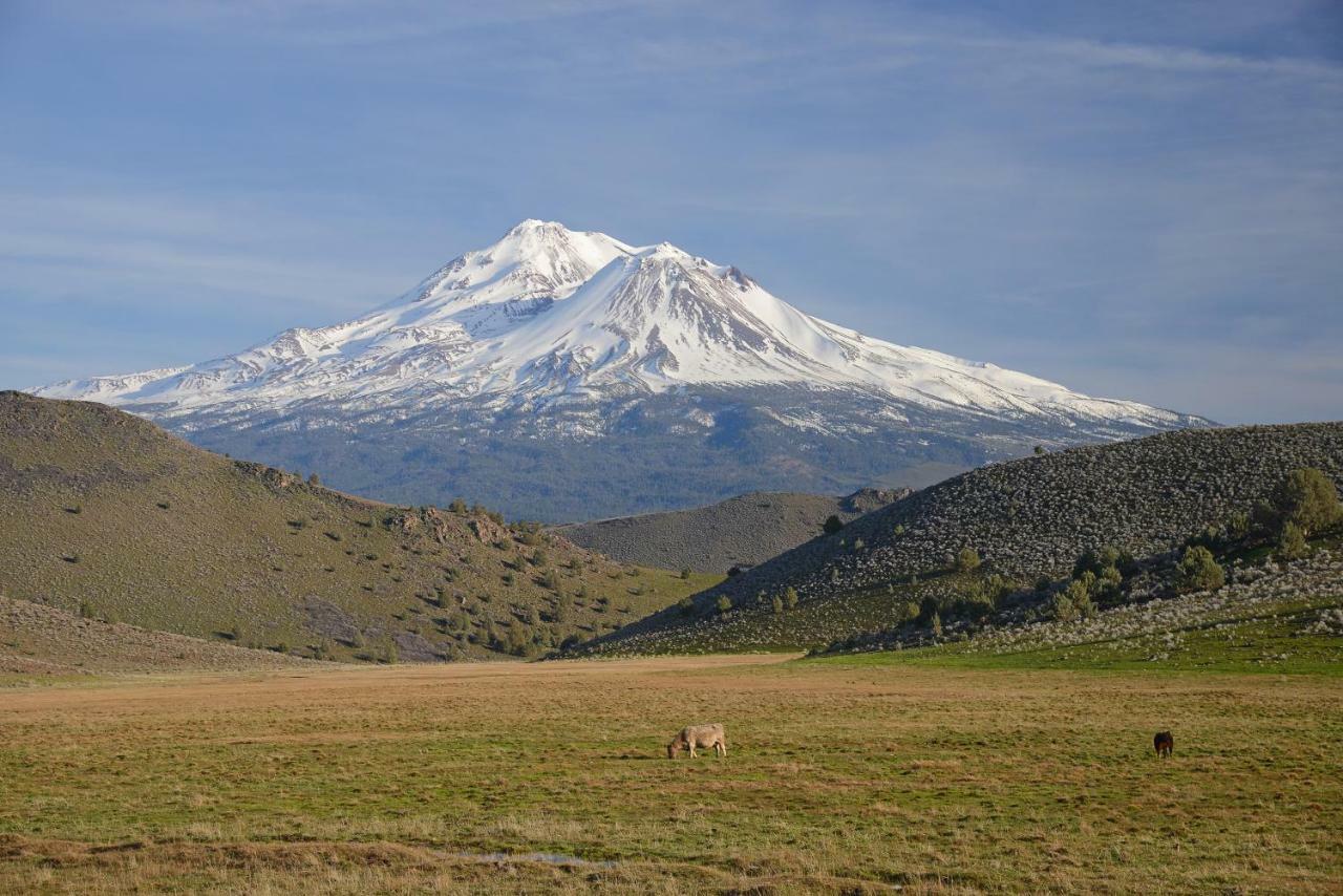 Inn At Mount Shasta Eksteriør bilde